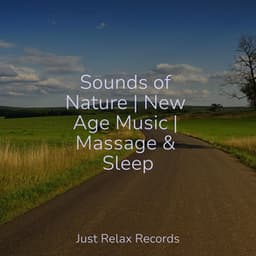 Sounds of Nature | New Age Music | Massage & Sleep - Spa Relaxation & Spa