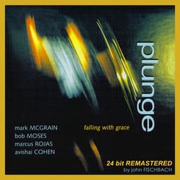 Falling with Grace - Plunge