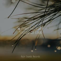 50 Powerful Rain Sounds to Loop - Japanese Relaxation and Meditation