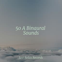 50 A Binaural Sounds - Meditación Guiada
