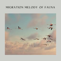 Migration Melody of Fauna - Soft Soundscapes