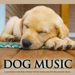 Dog Music: Calm Music For Dogs While You’re Gone and Pet Relaxation Music - Dog Music