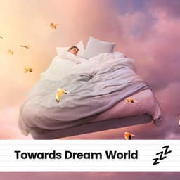 Towards Dream World - Deep Sleep Relaxation