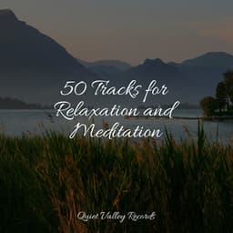 50 Tracks for Relaxation and Meditation - Soothing Chill Out for Insomnia