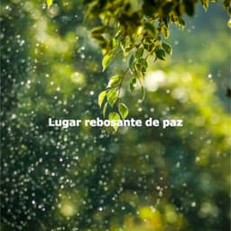Lugar rebosante de paz - Concentration Study Music