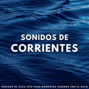 Sonidos De Corrientes: Sonidos De Agua Fría Para Momentos Serenos Con El Gato - Flujo de agua definitivo