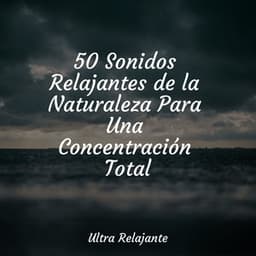 50 Sonidos Relajantes de la Naturaleza Para Una Concentración Total - Meditación Interna
