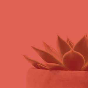 Modish Piano and Glockenspiel - Background for Recharging Rest - Instant Relax