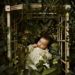 Armonía Del Bosque: Travesías De La Arrullo Para Bebés - Canción de Cuna Clásica