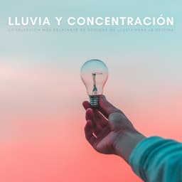 Lluvia Y Concentración: La Selección Más Relajante De Sonidos De Lluvia Para La Oficina - Expertos en música de oficina