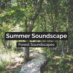 Summer Soundscape - Forest Soundscapes