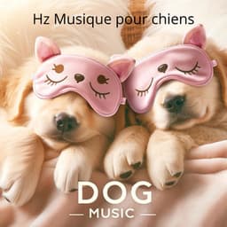 Hz Musique pour chiens: Dog Music, Aidez votre chiot à s'endormir, Thérapie spéciale de calme pour le sommeil - Hz Frequency