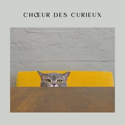 Choeur des Curieux - Détente