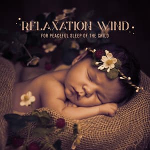 Fast Asleep Baby – Relaxation Wind for Peaceful Sleep of the Child - Sleep System