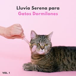 Lluvia Serena Para Gatos Dormilones Vol. 1 - Ejemplo de biblioteca de lluvia