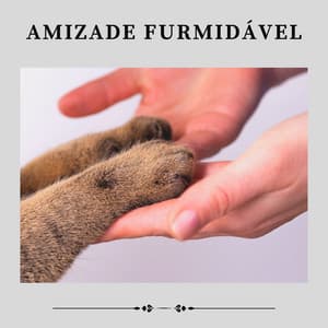 Amizade Furmidável - Musica para Gatos