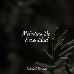 Melodías De Serenidad - Sonidos de la Naturaleza para Dormir