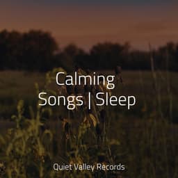 Calming Songs | Sleep - Rain Hard