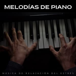 Melodías De Piano: Música De Relajación Del Estrés - Lista de reproducción Classy Bossa Piano Jazz