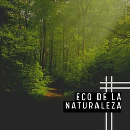 Eco de la Naturaleza - Música Yoga