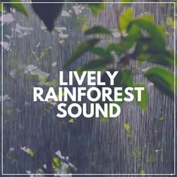 Lively Rainforest Sound - Rain Man Sounds