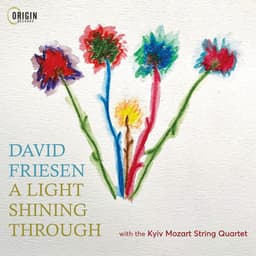 A Light Shining Through - David Friesen