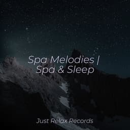 Spa Melodies | Spa & Sleep - Chinese Relaxation and Meditation
