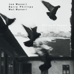 Angles Of Repose - Joe Maneri