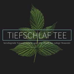 Tiefschlaf tee: beruhigende Naturgeräusche und Zen-Musik für ruhige Momente - Schlaf Klang
