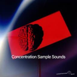 Concentration Sample Sounds - Concentrational Brain