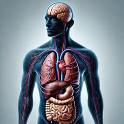 Strengthen Lymphatic Circulatory System: Remove Toxins - Healing Spiritual Frequencies