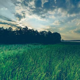 50 Healing Melodies for Meditation and Sleep - Yoga Rain