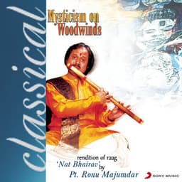 Mysticism on Woodwinds - Ronu Majumdar
