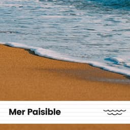 Mer Paisible - Vagues De L'Ocean