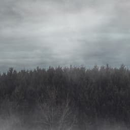 Copyright Free Lofi Beats for Streamers, Vol. 1 - Copyright Free Lofi