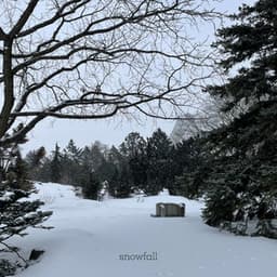snowfall - blondette