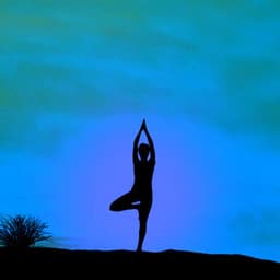 Music for Evening Travels - Bossa Guitar Trio with Jazz Organ - Chill Vibes