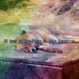 35 Rain on the Ponds of Self Reflection - The Rain Library