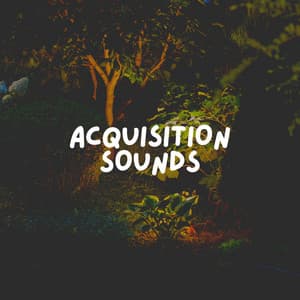 Acquisition Sounds - Sleep Music Dreams