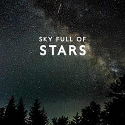 Sky Full Of Stars - Enlightened State