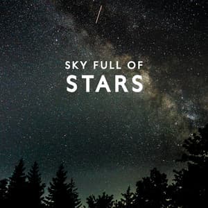 Sky Full Of Stars - Enlightened State