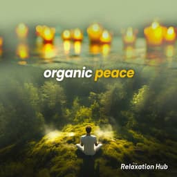 Organic Peace - The Relaxation Hub