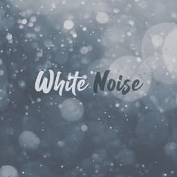 White Noise - Noise Academy
