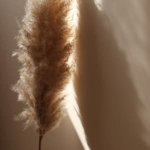 50 Meditation Melodies for Massage - Sounds of Nature White Noise Sound Effects