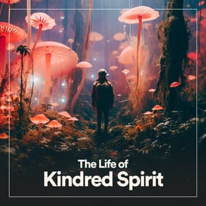 The Life of Kindred Spirit - Relaxing Music