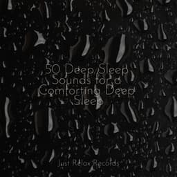 50 Deep Sleep Sounds for a Comforting Deep Sleep - Deep Sleep Meditation