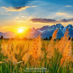 Relaxation Music to Unwind, for Sleep, Reading, the Office 2 - Sleeping Music for Babies