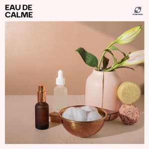 Eau de Calme - Musique de Relaxation
