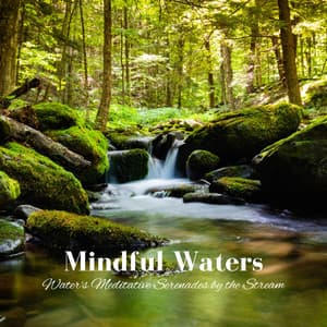 Mindful Waters: Water's Meditative Serenades by the Stream - Naturally Recurring