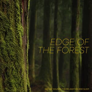 Edge of the Forest - Nature Sounds for Relaxation and Sleep